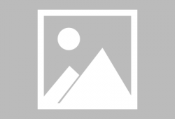 娱乐圈的瓜一般在哪里吃,揭秘明星八卦的聚集地